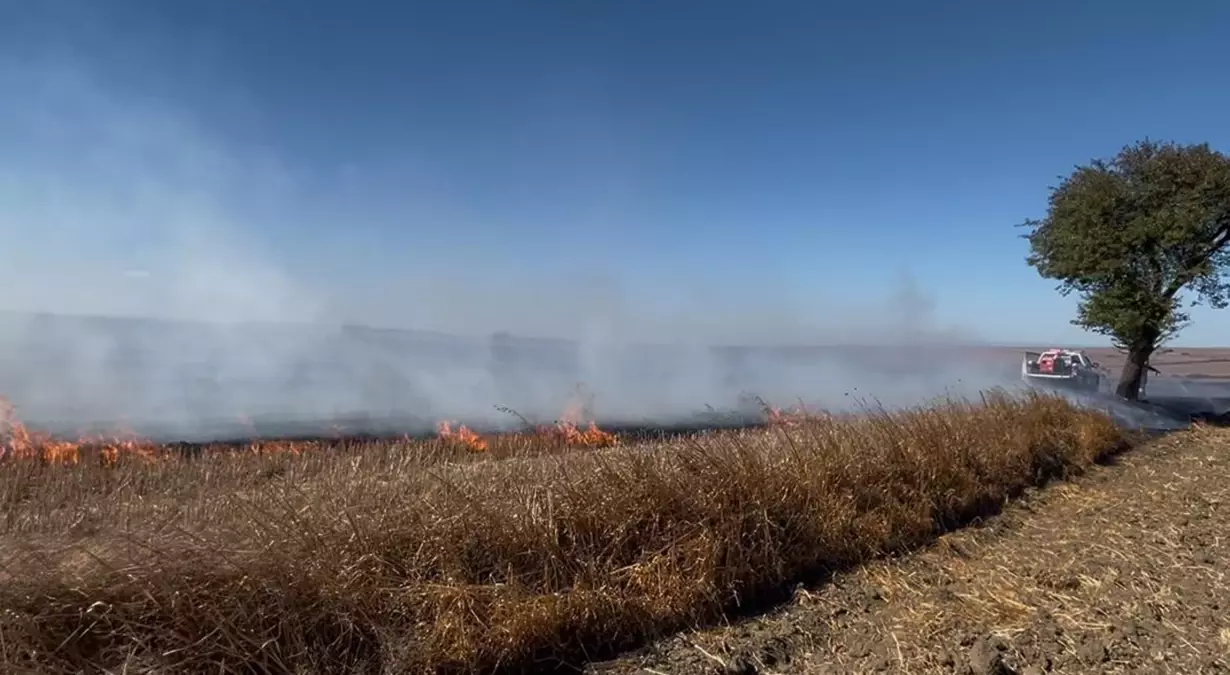 corluda aniz yangini kontrol altina alindi OP9BJjNR