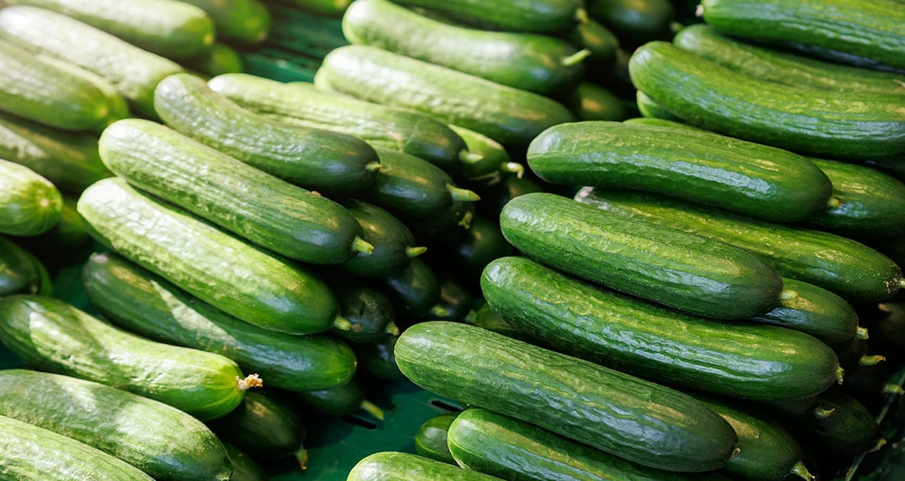 salataliklar acilen geri cagriliyor degdigi yeri bile dezenfekte edin ggwDDZWV