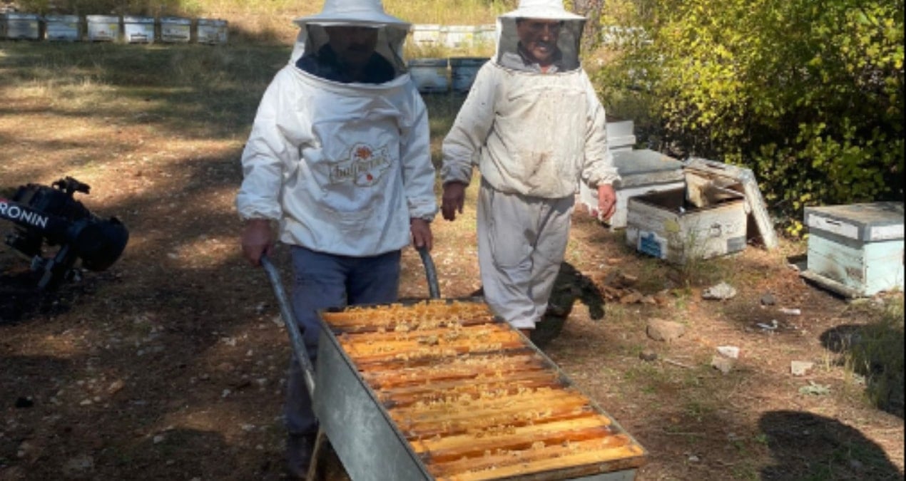 yangindan kacan arici mazota takildi ywtgel9B.jpg