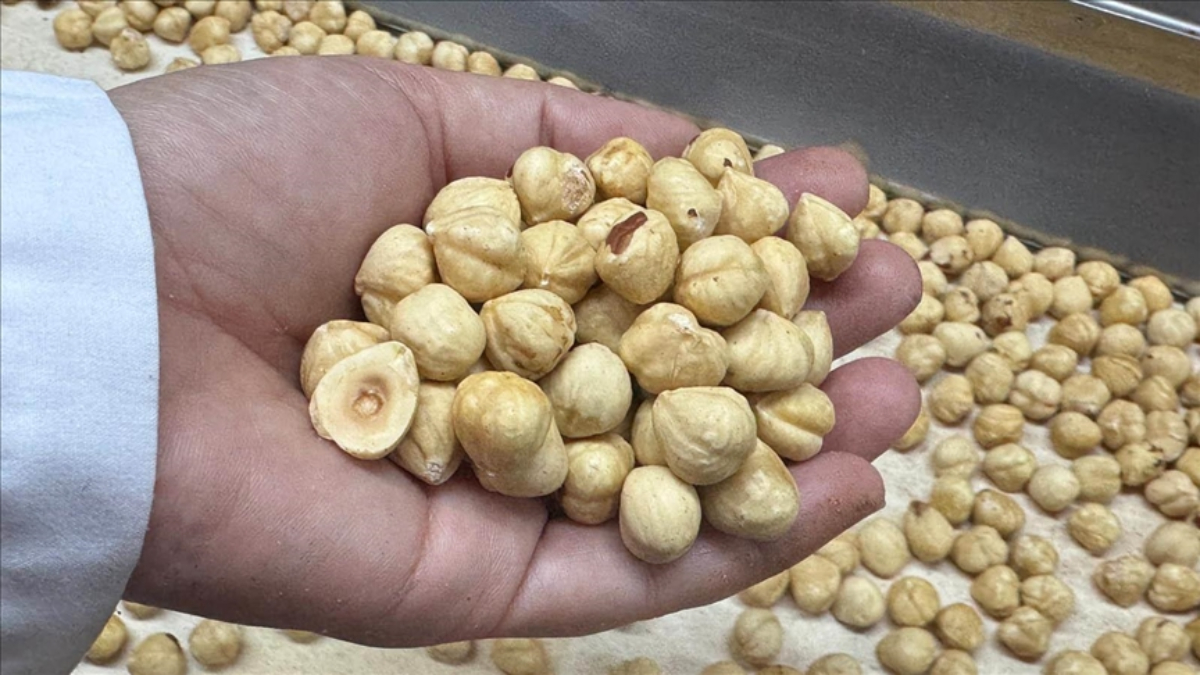 findik ihracati geliri aciklandi HhONFXsE.jpg