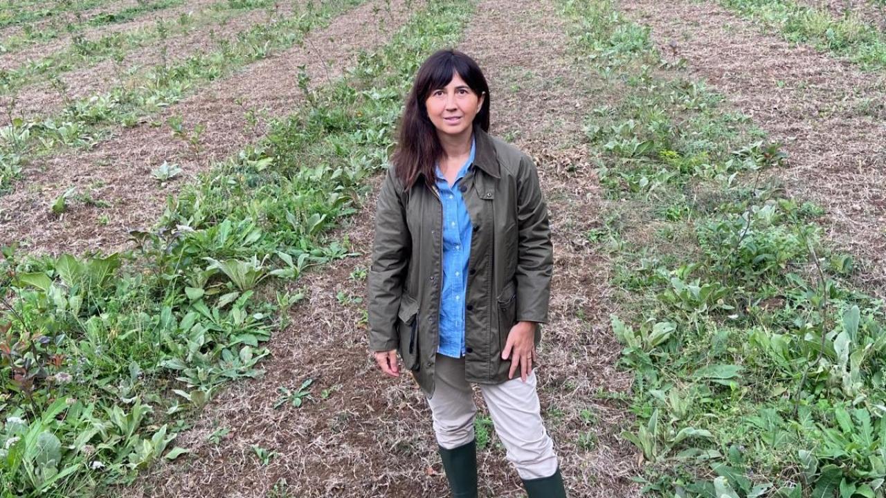 kariyerini birakti topraga dondu seda cem kadin ciftcilere ilham oluyor 4fVPYSMN.jpeg