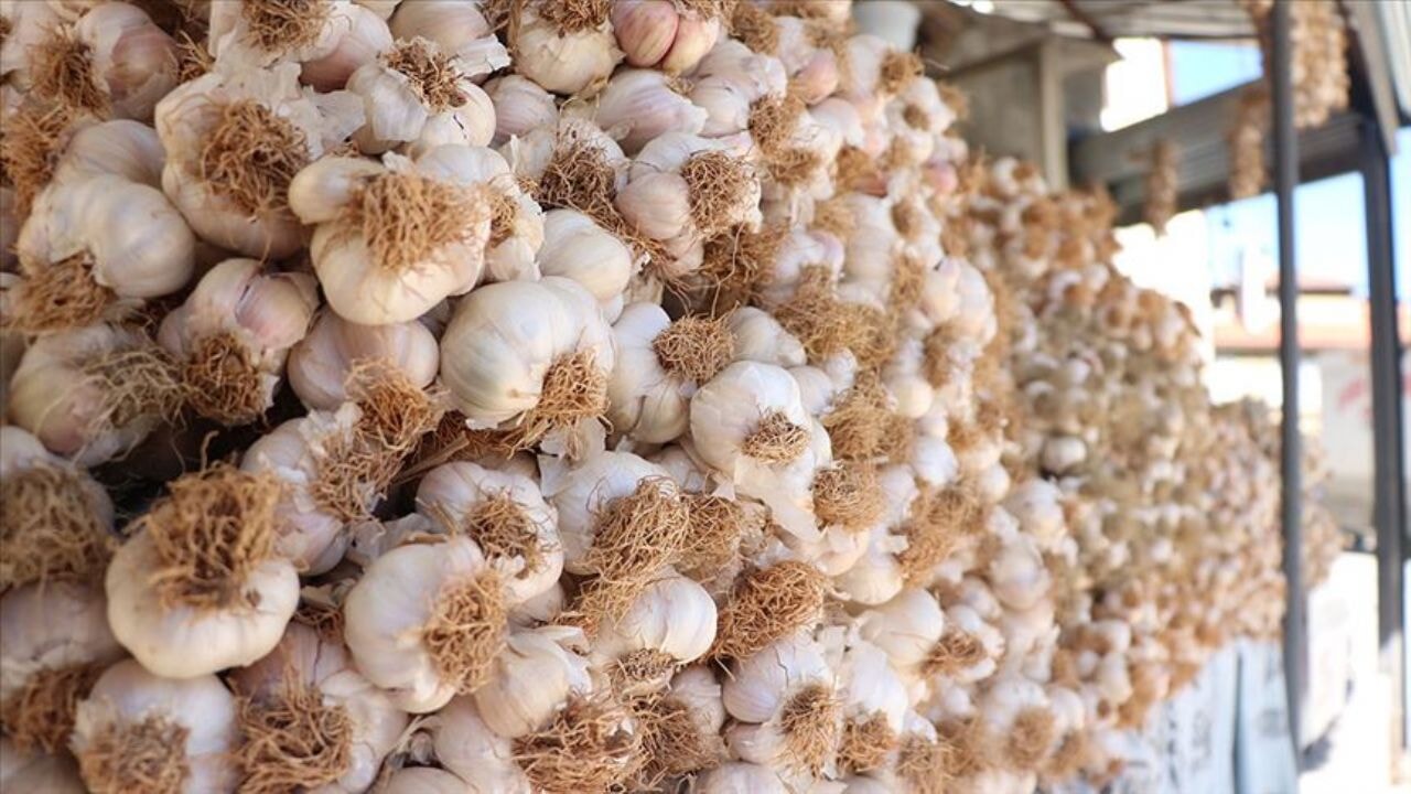 sarimsak yemek icin on neden ve taskopru sarimsaginin essiz yapisi LR9drAGz.webp