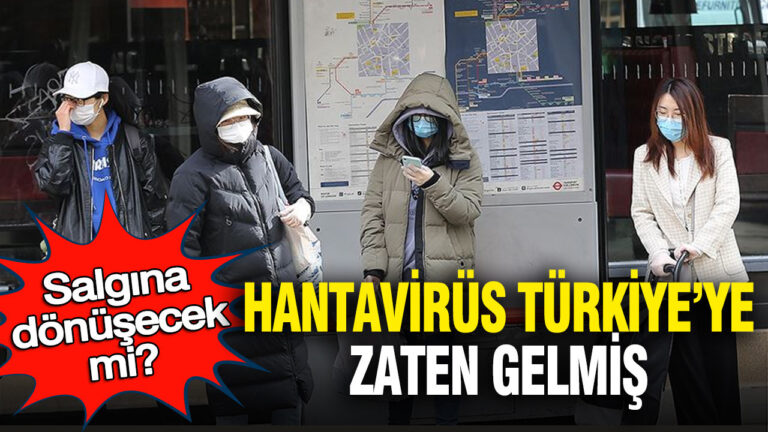 hantavirus-turkiyeye-zaten-gelmis-salgina-donusecek-mi-Il6Ns8NY