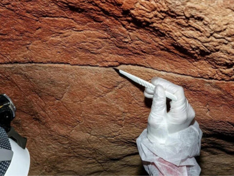 Bilim dünyası bu keşifle çalkalanıyor: Binlerce yıllık insan DNA’sı mağaralarda bulundu