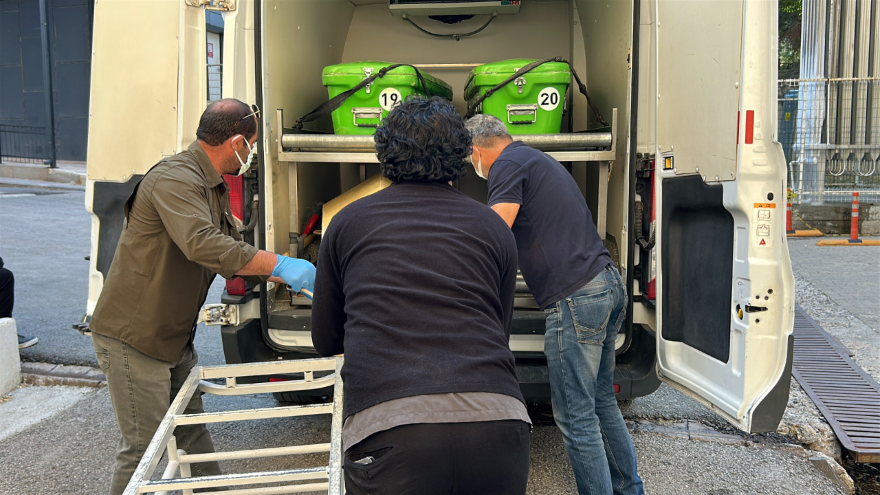 Kene bir can daha aldi yasli kadin hastanede can verdi JTHOR8SS